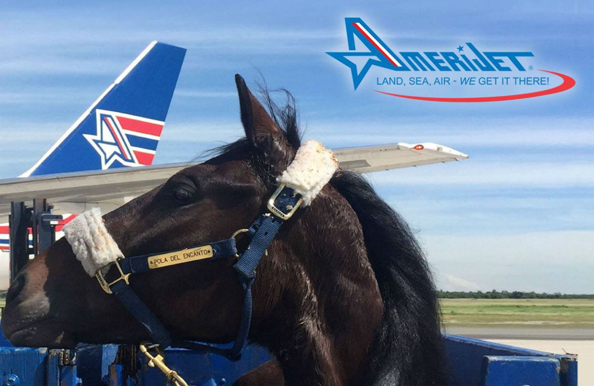 Amerijet Safely Transports Your Livestock and Other Animals to Amerijet Destinations